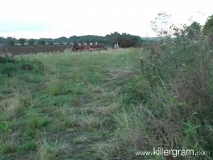 Проститутка облизывает конец клиента на природе